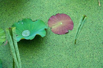 《工人物语:新兴同盟》主机版宣布跳票 发售日待定